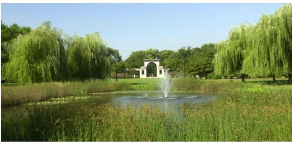 Perfect Place To Enjoy The City Or Just Relax Chicago Dış mekan fotoğraf